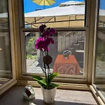 Holiday home Ca' Dij Noni Strona
